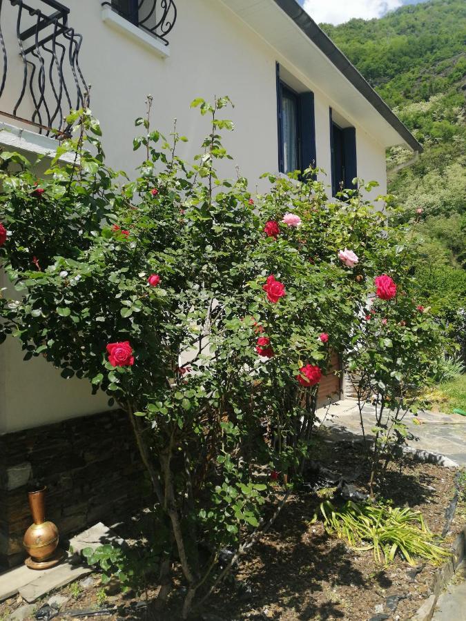Bed and Breakfast Les Rosiers à Bagnères-de-Luchon Extérieur photo